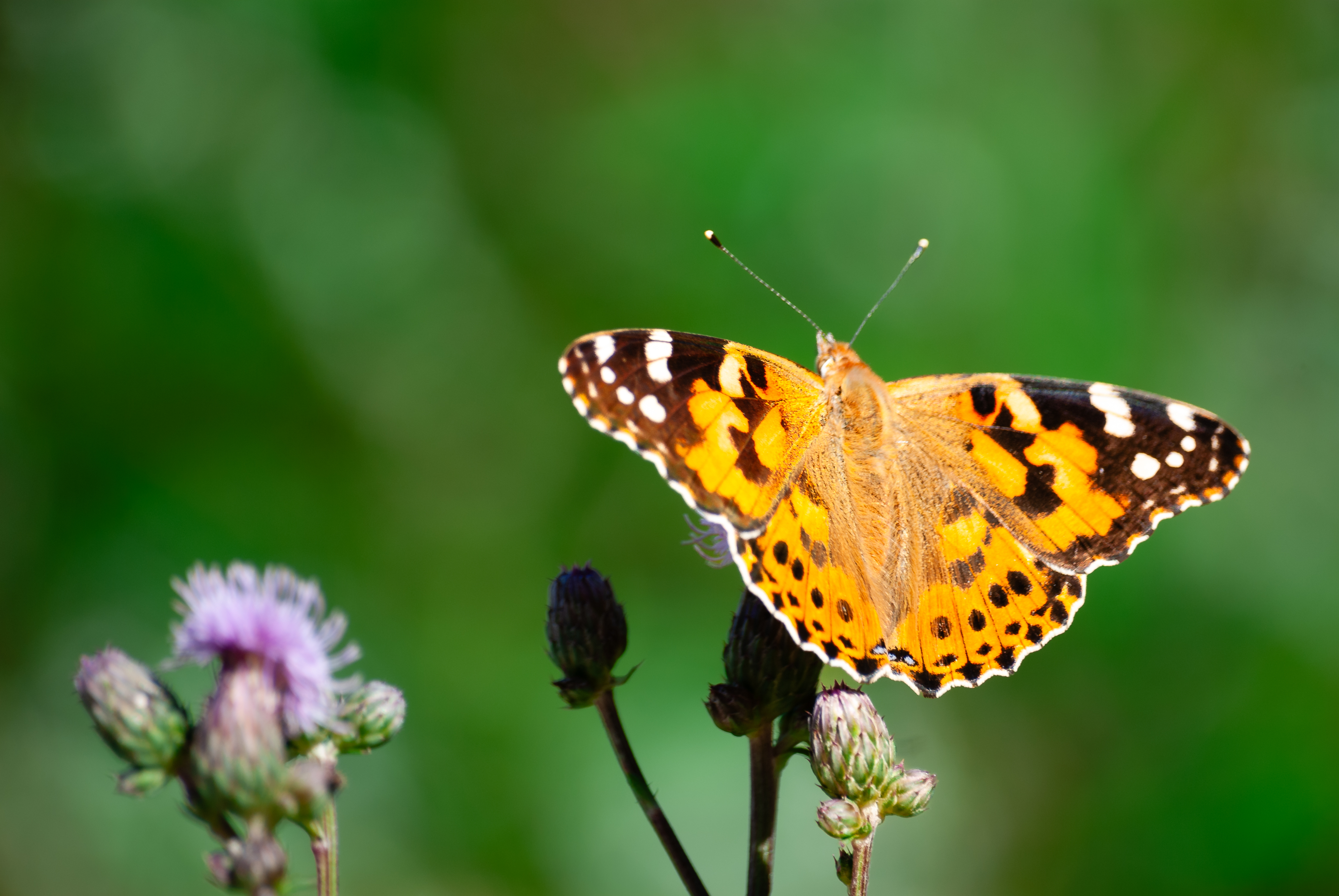 Ausflug Aying - 02301